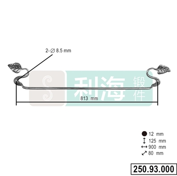 250.93.000的图片