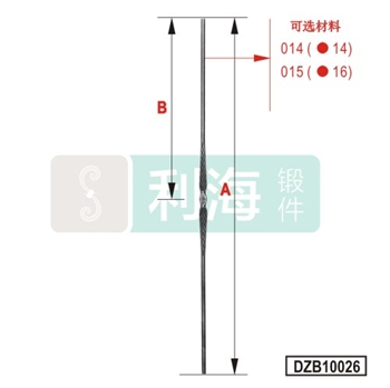 DZB10026的图片