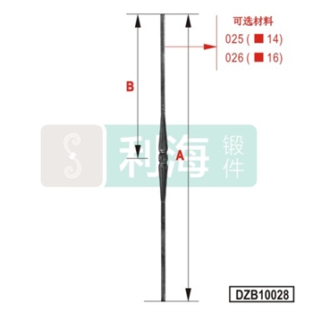 DZB10028的图片