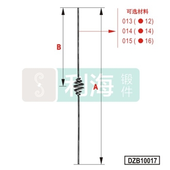 DZB10017的图片