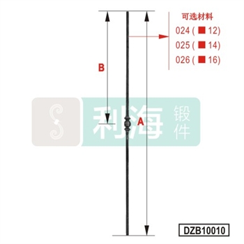 DZB10010的图片